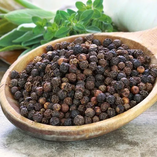 Piperine Herb used in StudyBoost IQ